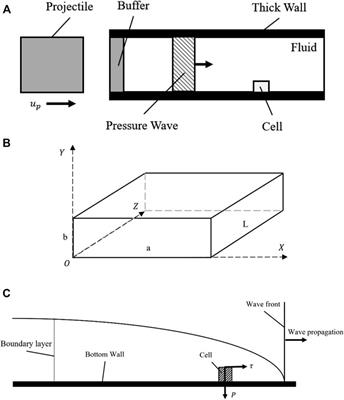 A method for generating dynamic compression shear coupled stress loading on living cells